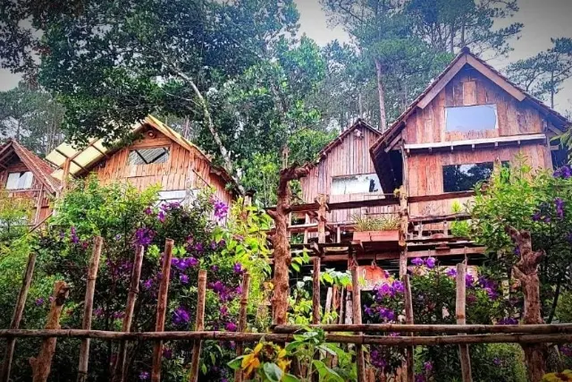Hình ảnh Tổ Chim Ri Homestay tại Măng Đen