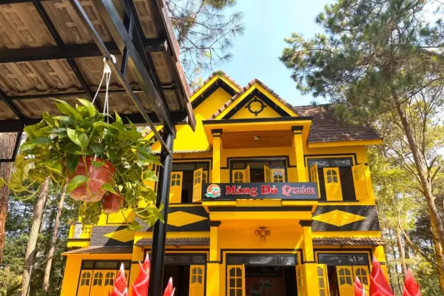 Hình ảnh Măng Đỏ Quán tại Măng Đen